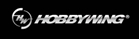 Hobbywing